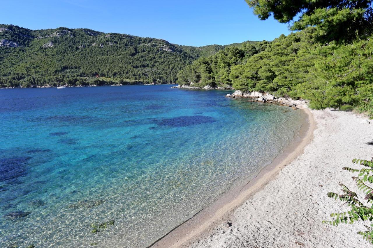 Apartments With A Parking Space Zuljana, Peljesac - 4574 외부 사진