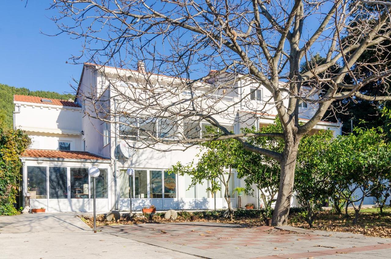 Apartments With A Parking Space Zuljana, Peljesac - 4574 외부 사진