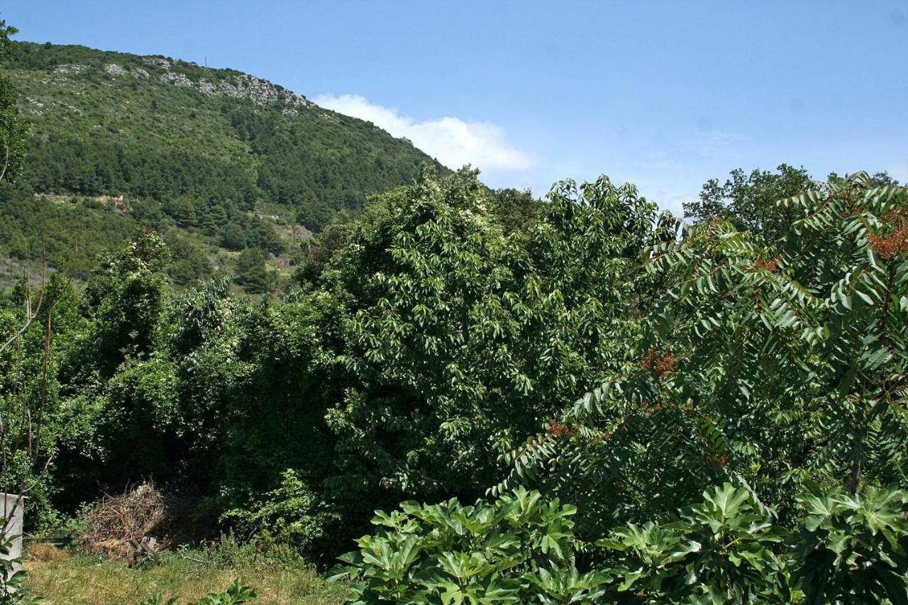 Apartments With A Parking Space Zuljana, Peljesac - 4574 외부 사진